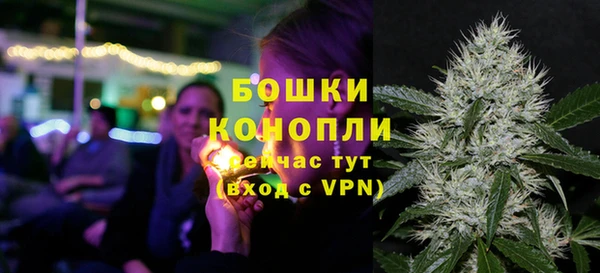 спиды Дмитриев